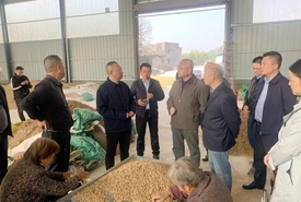 中路铺柳桥村乡村振兴工作